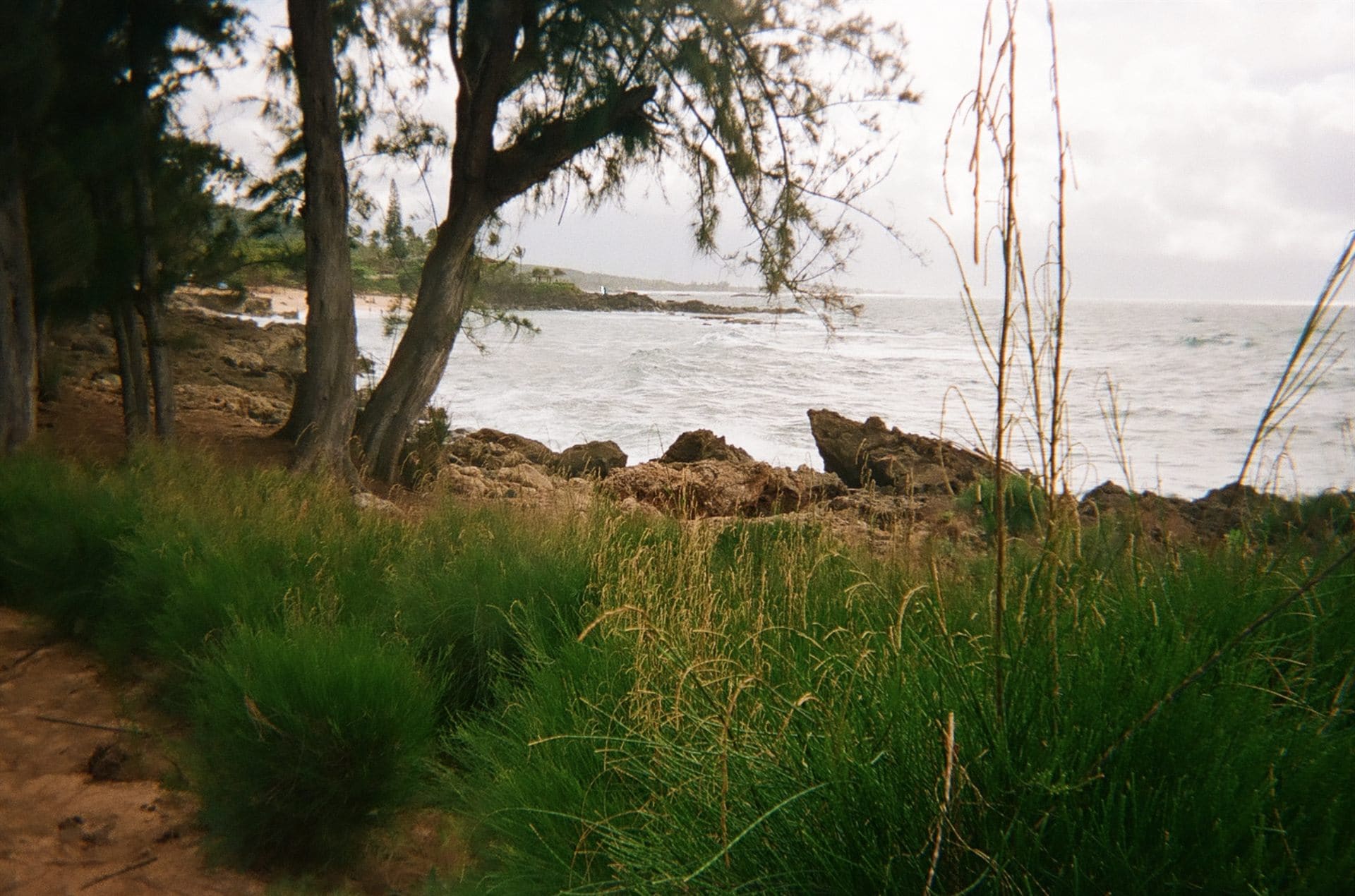 Nature — landscape